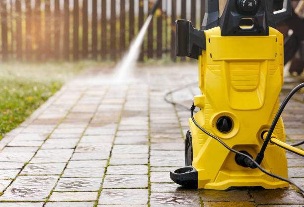 Animal Enclosure Cleaning in Mulberry, OH